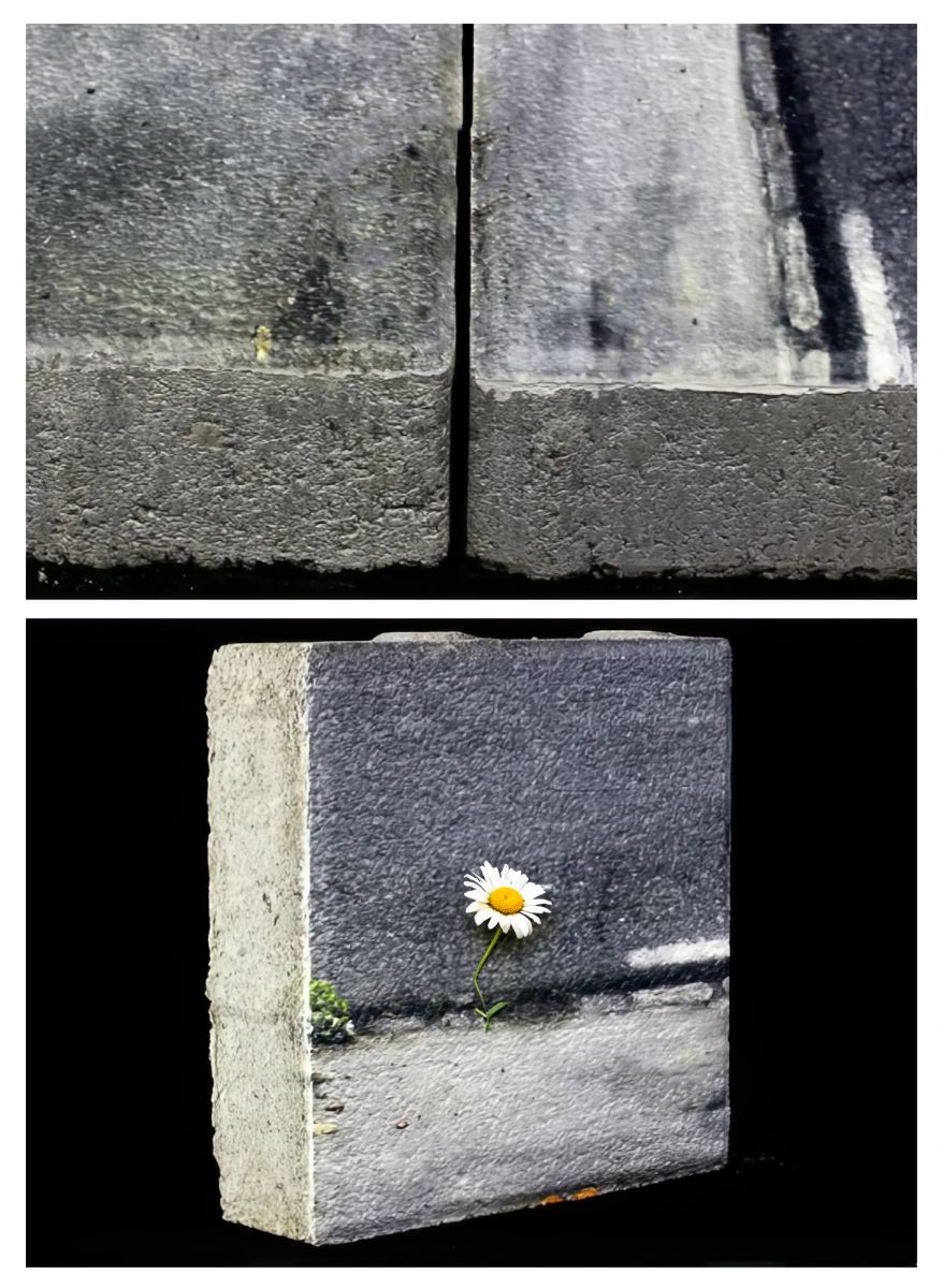 Come è possibile vedere nell'immagine è possibile stampare su pietra con qualità fotografica e colori brillanti. Questo è possibile grazie alla nostra stampante uv Epson V7000 capace di stampare direttamente su qualsiasi tipo di supporto.