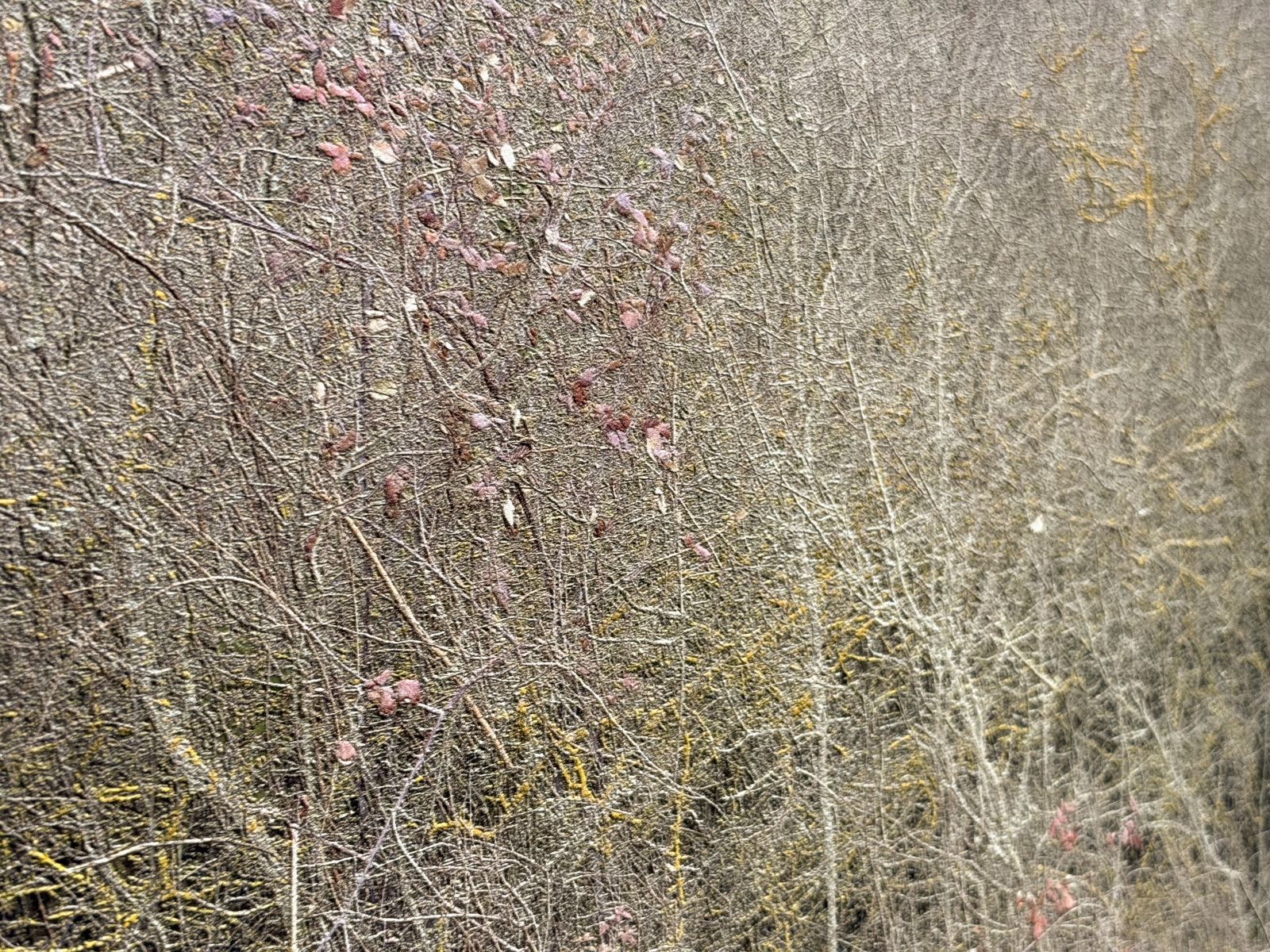 Stampa a effetto rilievo per esaltare la trama della vegetazione