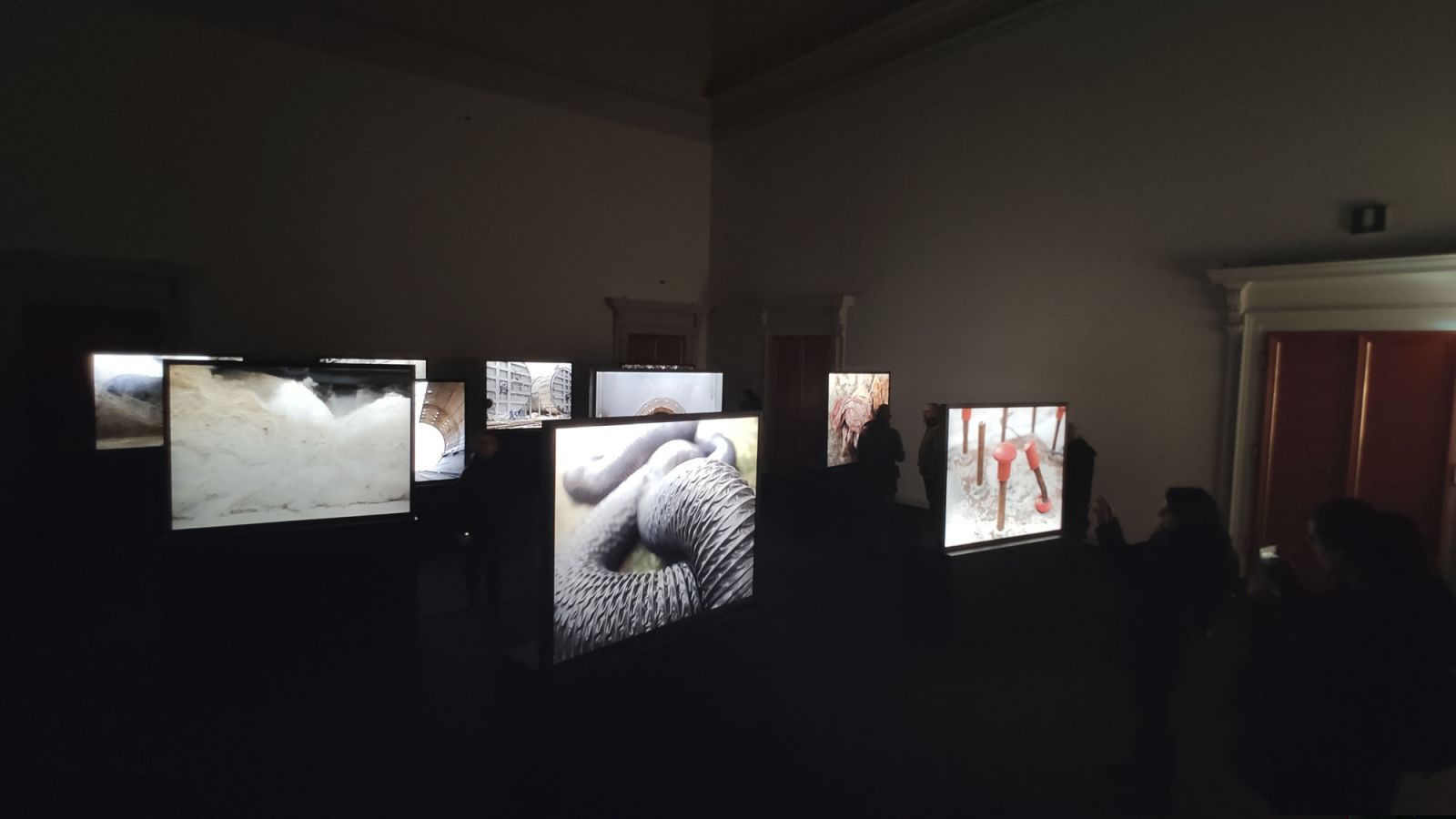 Lightbox fine art per Silvia Camporesi - Bologna